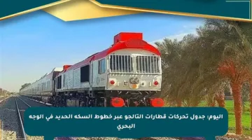 اليوم: جدول تحركات قطارات التالجو عبر خطوط السكة الحديد في الوجه البحري